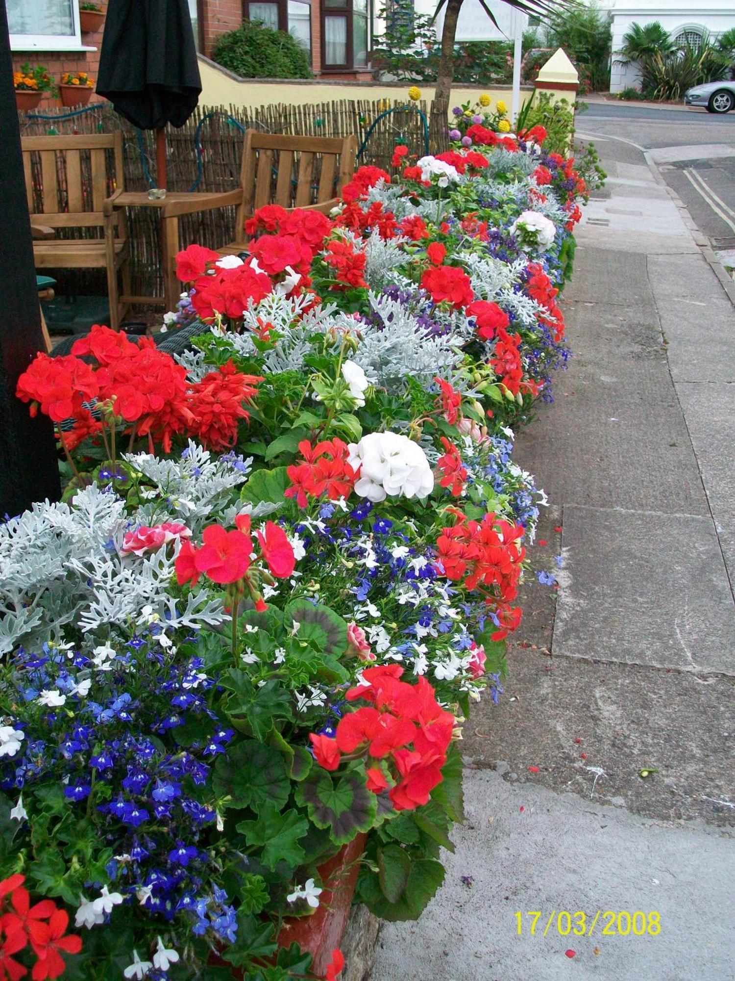 Bed & Breakfast Trentham House Paignton
